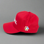5 Panel Curved Brim Mid Profile Baseball Cap - STRUT YOUR STUFF!